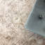 Alexia Oriental Area Rug-25689722