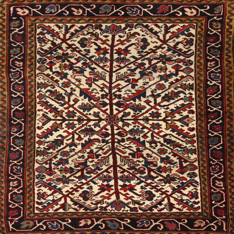 Oriental Indoor Rug, Square 8'