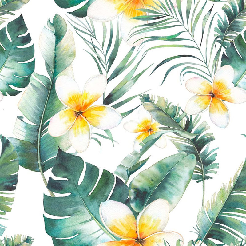 Damen Matte Wall Mural, 300cm W x 200cm L