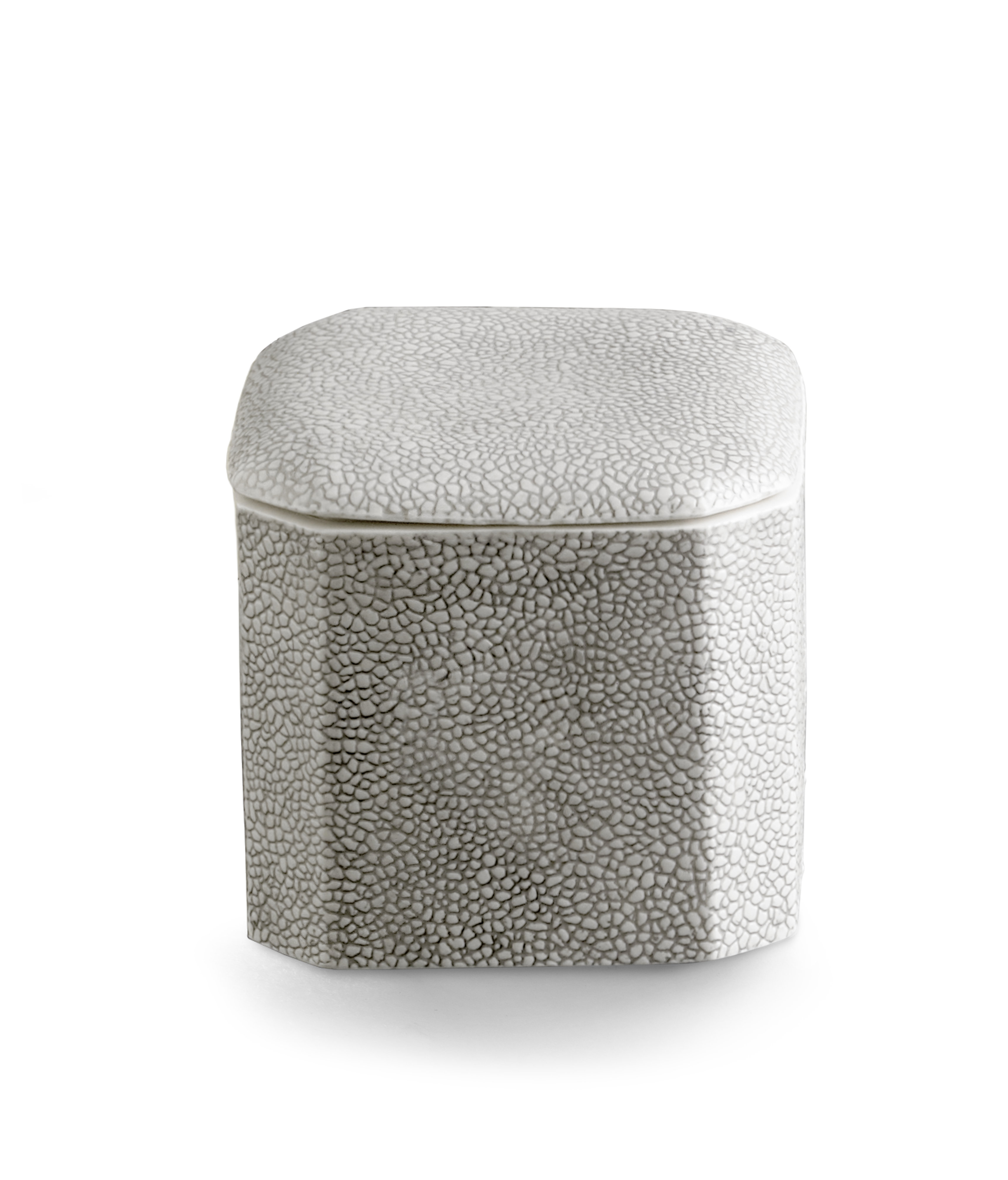 Charlton Home® Ariella Porcelain Cotton Container & Reviews | Wayfair