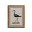 Wading Bird Prints, Set of 4