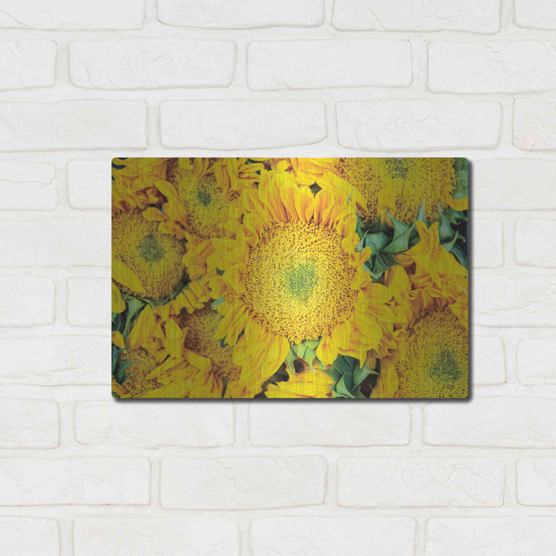 «Sunflower Summer» par Donnie Quillen