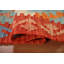 South Western Kilim Oriental Accent Rug 4x5