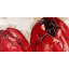 Two red tulips - 24"x48" Framed canvas