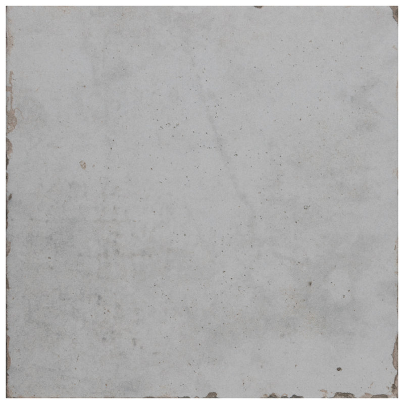 Renaissance 8" x 8" Porcelain Vintage Wall & Floor Tile