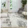 Safari Dreams Abstract Hand Woven Area Rug