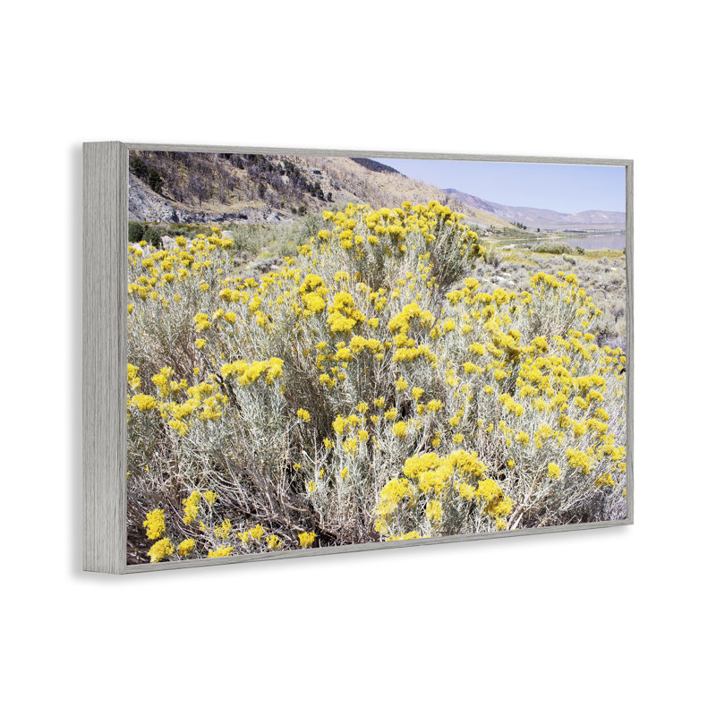 Fleurs jaunes dans un pré aride, estampe numérique, design par Gemma Bardot, H 12 po x l 18 po, Estampe numérique Farmhouse