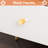 Lafitte 21.6'' H 3 Drawer Bachelor's Chest-1189804996