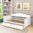 Sholto Twin Daybed with 2 Drawers and Slats-854840094
