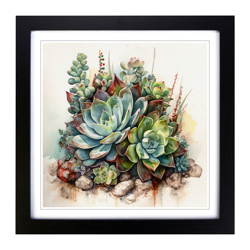 Succulent Watercolour No.1 - Single Picture Frame Print on Wood, Black
