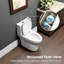 Toilette allongée monobloc Sotomo