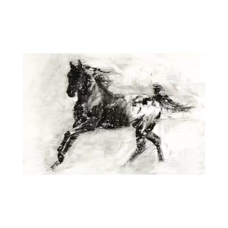 Rustic Appaloosa II by Ethan Harper - Wrapped Canvas Print, 20.32 cm H x 30.48 cm W