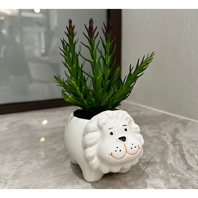 Bonsai 7,09 po