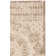 Amedee Performance Oriental Indoor/Outdoor Area Rug