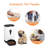 Automatic Feeder