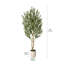 Olive artificielle Ashwell avec pot blanc -155919475