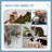 114cm H Cat Tree