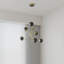  Lustre Alora