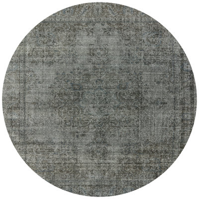 Shena Oriental Indoor Rug