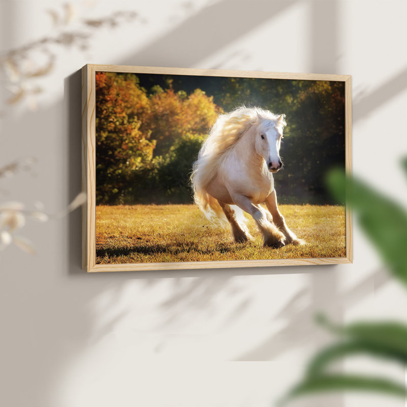 Horse Motion IV -Framed Print - Restickable, H 8 po x l 10 po, Naturel