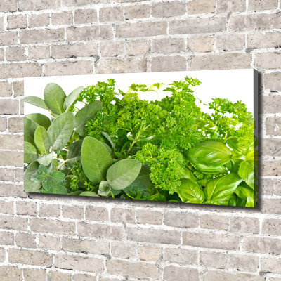 Herbs - No Frame Print on Glass
