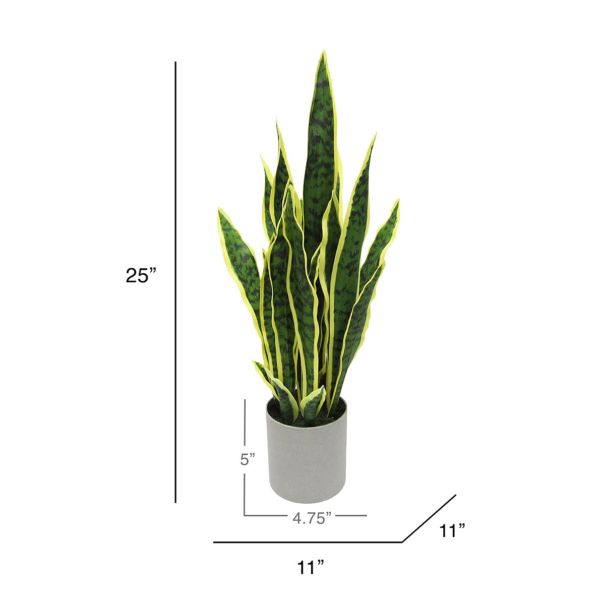 36" Snake Plant in Pot, 25'' H x 11'' W x 11'' D