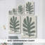 Palm Morph III - galerie Cavas-1914582373