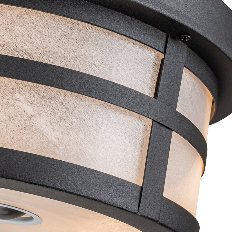 Matte Black 2 - Bulb Outdoor Flush Mount