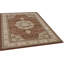 Harpersville Oriental Area Rug in Brown/Ivory