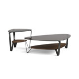 Dino Coffee Table