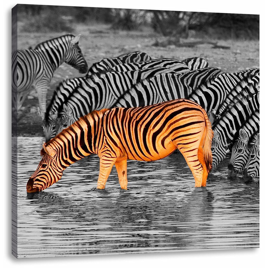 Leinwandbild Zebras an der Wasserstelle