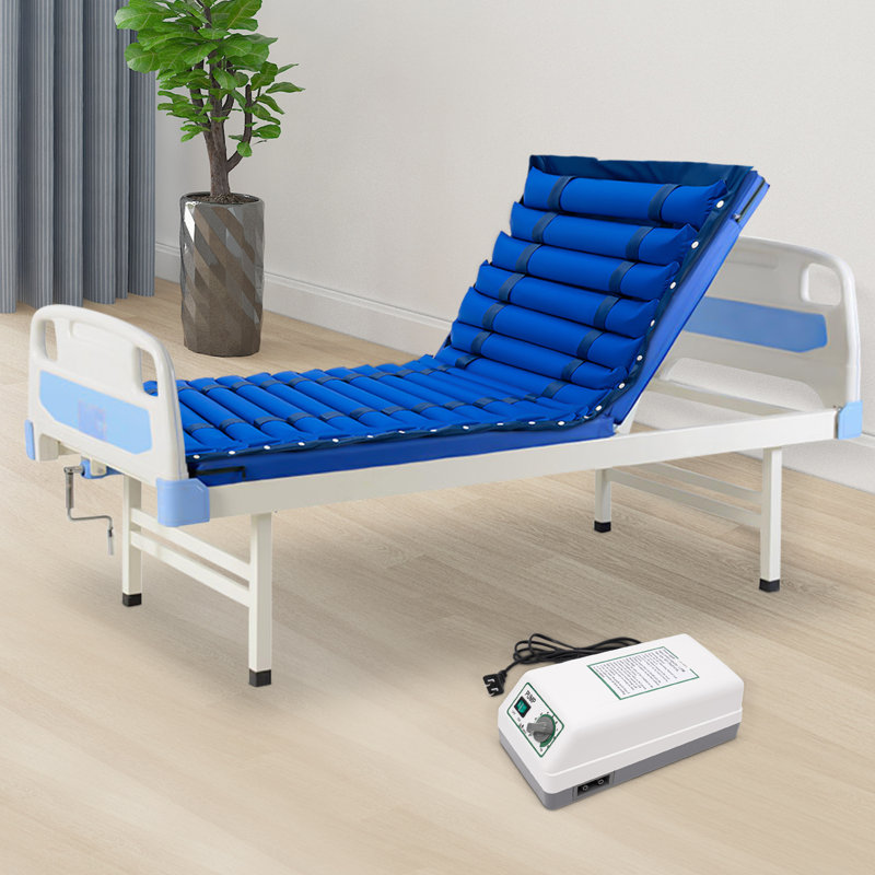 Melani 2.95'' Air Mattress