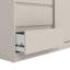Bismah Manufactured Wood Wardrobe