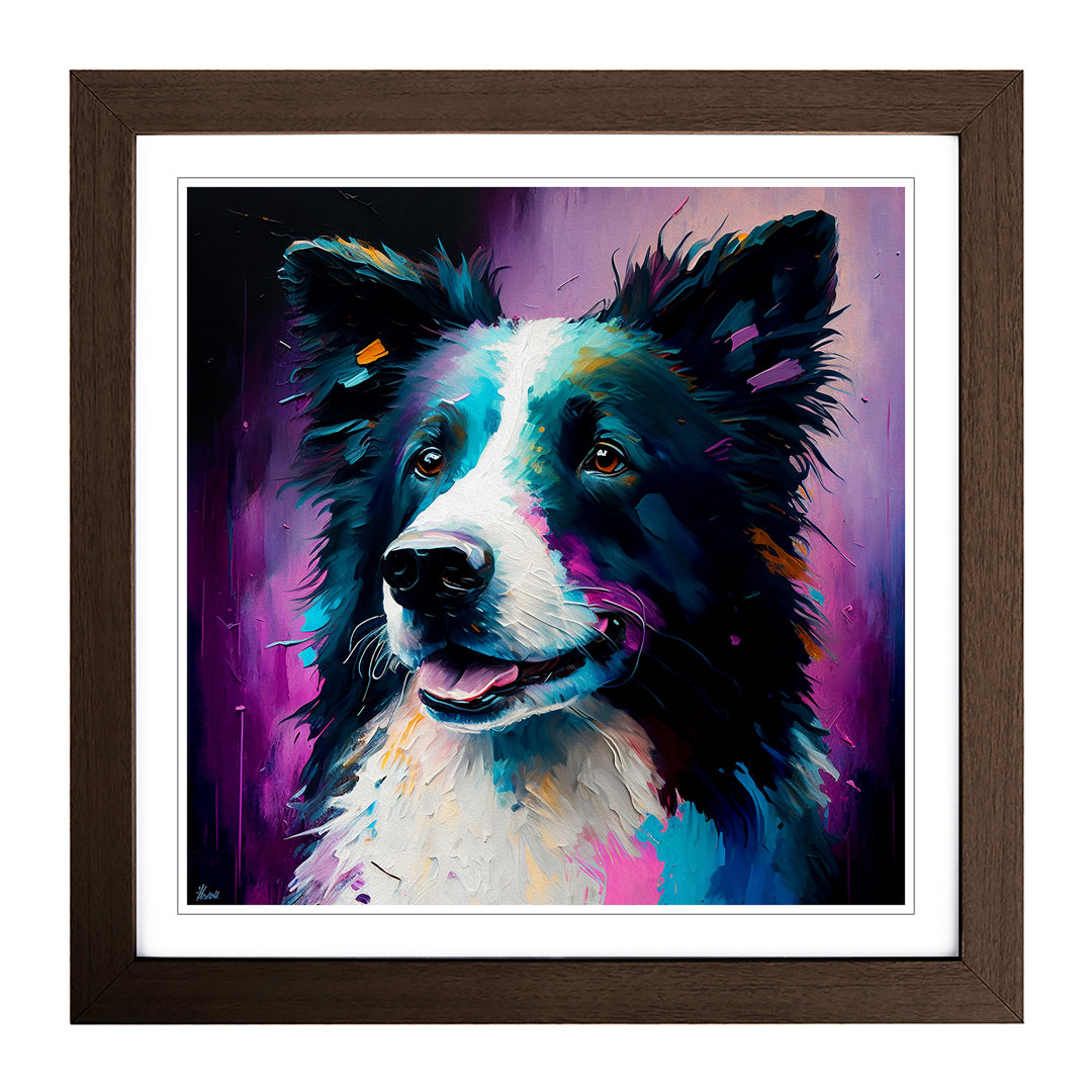Border Collie Painting - Framed Print