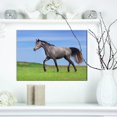 " Gray Horse In Motion "
