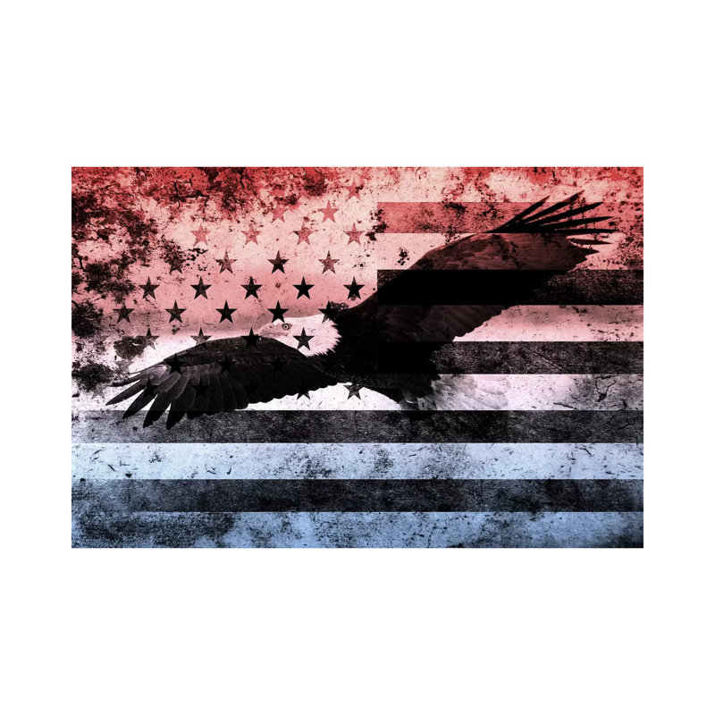 USA "Melting Film" Flag (Bald Eagle) - Print on Canvas, 66.04 cm H x 45.72 cm W, Brown Floater Framed