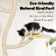 Arbre à chat Eiladh 62,2 po H