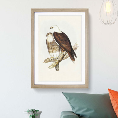 White-Breasted Sea Eagles by Elizabeth Gould - Picture Frame Painting Print