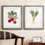 Organic Veg I - ensemble de 2 reproductions d'art sur toile encadrées
