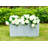 Planter-233710366-169871259