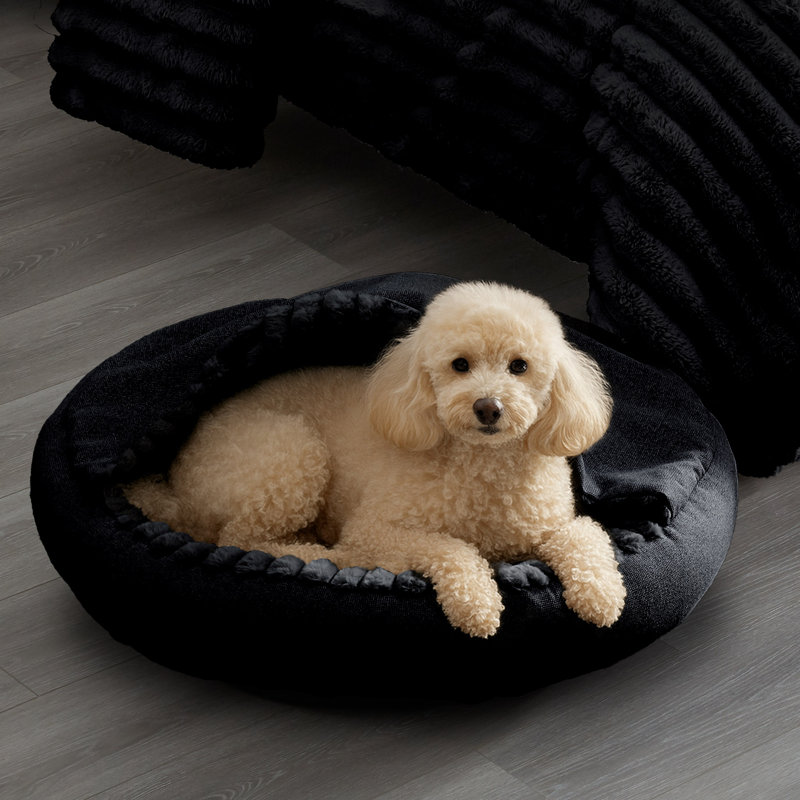 Lit pour animal de compagnie couvert noir Cuddly, Moyen (H 7 po x l 28 po x P 28 po), Noir