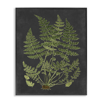 «Botanical Dessin Green Black Design», impression
