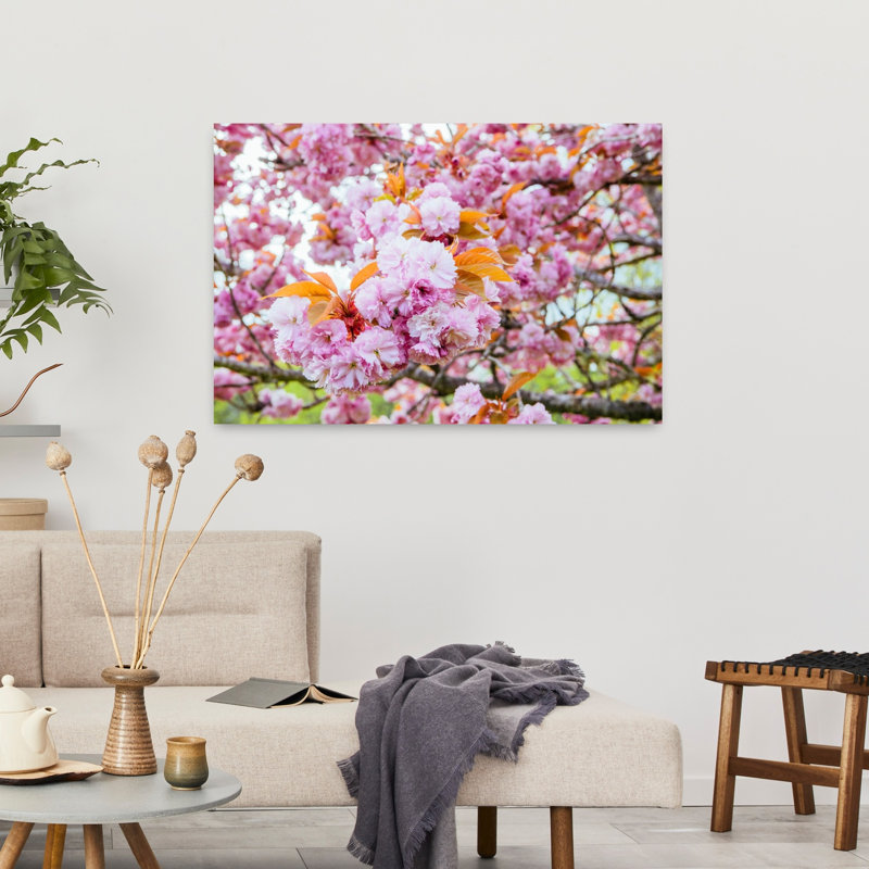 Fleurs de cerisier Kwanzan, H 24 po x l 36 po