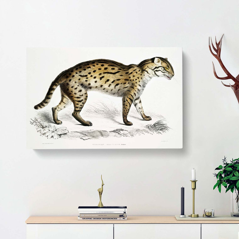 Viverrine Cat Illustration by John Edward Gray - Wrapped Canvas, 50cm H x 76cm W x 3cm D
