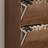 Walnut Solid wood Shoe Storage