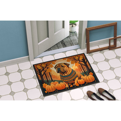 Chriseda Non-Slip Doormat