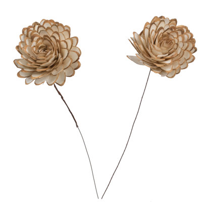 Natural Botanicals 4" Natural Dried Almond Sola Flower on 12" wire stem- 12 stem/polybag.