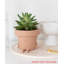 Cute Pots Pot Planter
