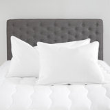 Alwyn Home Goose Feather And Down Bed Pillows For Sleeping Set Of 2 Natural Filling With Premium 100% Cotton Shell - King