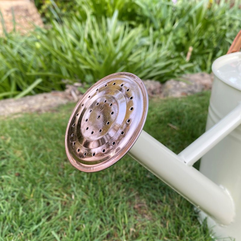 Metal Watering Can